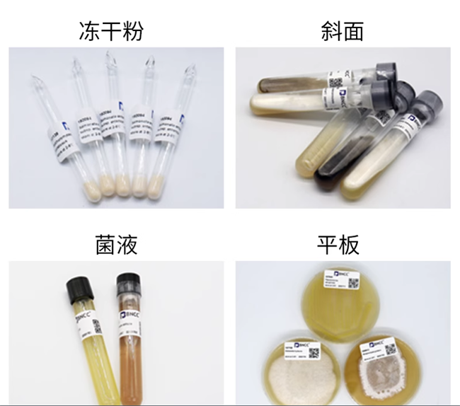 标准物质